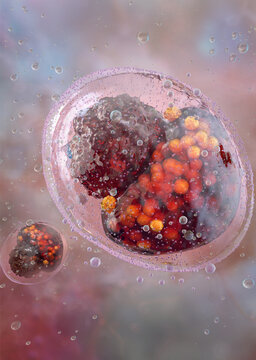Chlamydia trachomatis bacteria. Intracellular pathogen inside human cell, vesicles, inclusion bodies, cytoplasm structure. Sexually transmitted infection, STD disease, microbiology, medical science 3D