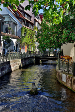 Gerberau in der Altstadt von Freiburg im Fr&uuml;hling