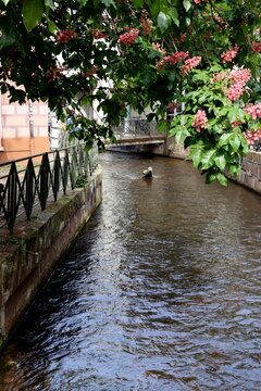 Gerberau in der Altstadt von Freiburg im Fr&uuml;hling