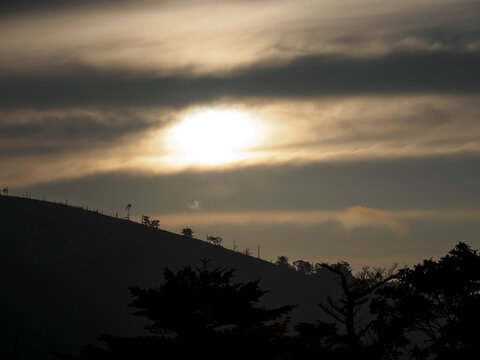 金色に透き通る雲。夜明けの風景。山の稜線の樹木の変化で高山の森林限界がわかる様子。シルエット。自然風景。