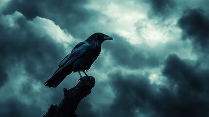 Obraz premium A black crow is perched on a tree branch in a dark, cloudy sky