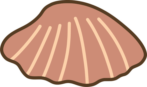 조개껍질 2