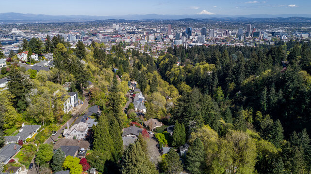 Aerial view of Southwest Imperial Drive residential area with lush green trees, the city skyline, and Mount Hood in the distance in Portland, Oregon, United States.