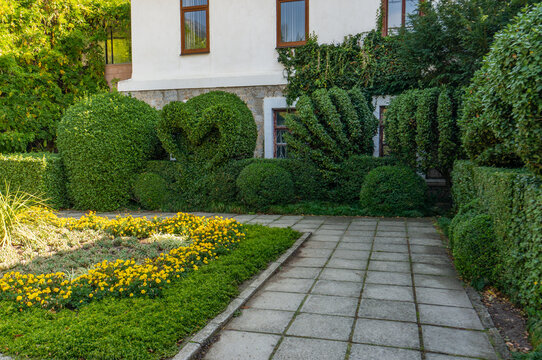 Well-manicured garden with a stone path leading to white house. Yellow flowers bloom on one side, while neatly trimmed hedges line both sides of the walkway. Nikitsky Botanical Garden, Yalta, Crimea