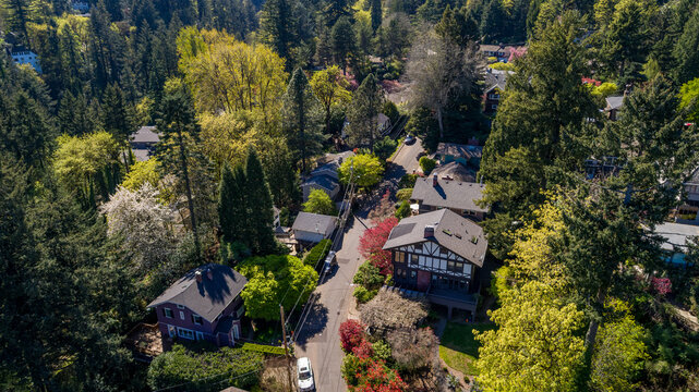 Aerial view of residential houses along Southwest Imperial Drive surrounded by lush green trees and spring blossoms in a quiet neighborhood Portland, Oregon, United States.