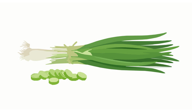 Green onions with slices and rings flat vector set isolated on white background fresh scallion illustration