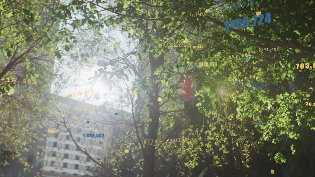 Sun flaring, camera shifting, trunks framing tower, numbers growing and floating, visualizing funds