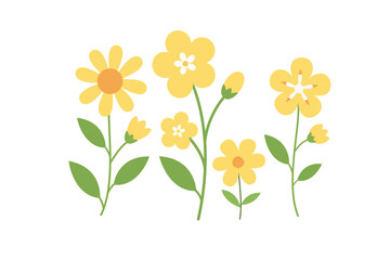 Obraz premium Yellow Daisy Flower Vector Collection with Large Blooming Garden Plants, Cute Floral Spring Illustration, Flat Nature Clipart for Wall Art and Design
