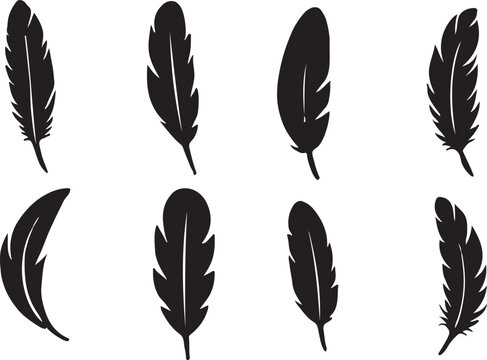 Big set of bird feathers design. fluffy swan. soft bird plumage set. Pen icons design. set of bird feathers 