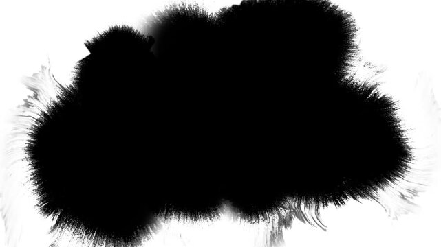 black ink splashes on white background high quality professional detailed modern elegant stylish clean crisp vibrant colorful
