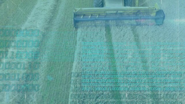 GPS-guided combine cutting steady swaths for harvest, teal overlay showing yield data in top view