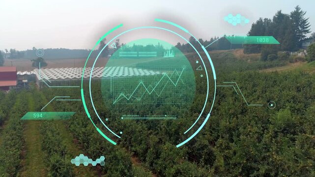Teal HUD activating on aerial approach, rotating rings and rising chart, monitoring orchard health