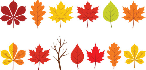 Fototapeta premium Colorful Autumn Leaf Collection with Maple Oak and Seasonal Foliage Hand Drawn Vector Illustrations