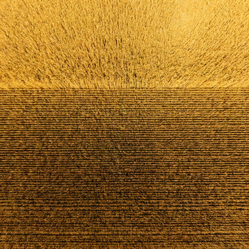Aerial drone top view of golden wheat field at harvest &mdash; standing crop meets parallel stubble rows in a striking geometric pattern. Warm amber agricultural texture background.