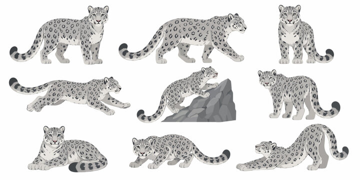 Eight illustrations of snow leopards are in various running poses on mountain