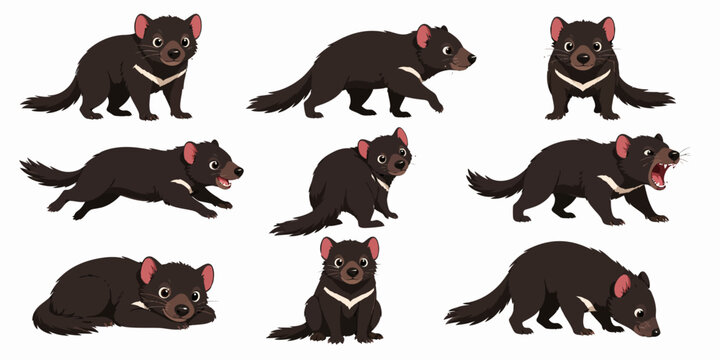 Eight ferrets are illustrated in various poses on a plain surface