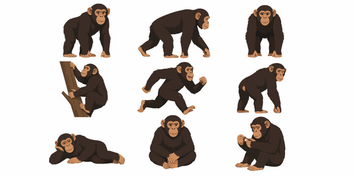 Nine cartoon chimpanzees in various poses on white background