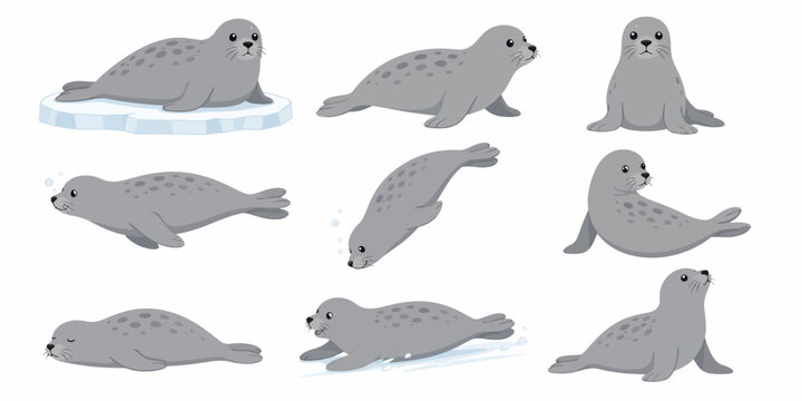 Eight gray seals are illustrated in different swimming and resting positions on ice and water surfaces