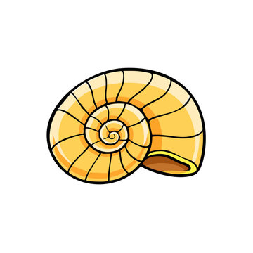 Stylized illustration of a golden spiral snail shell with thick black outlines