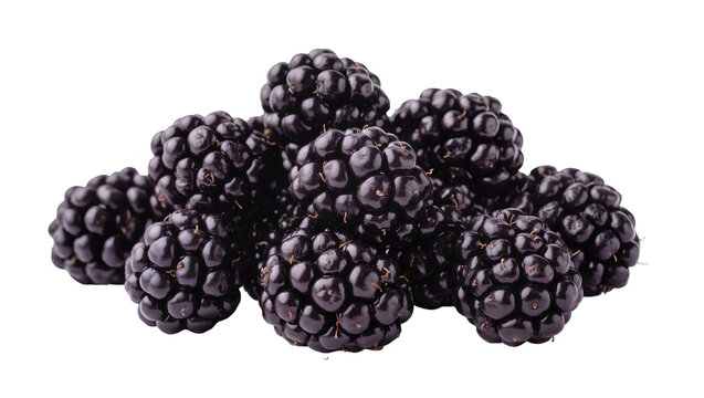 Dark ripe blackberries cluster close-up view