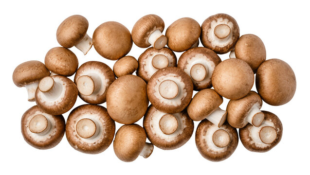 Pile of fresh brown cremini mushrooms, isolated on transparent background