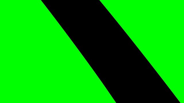 hand drawn animation of a computer bug inside a system terminal window with error messages on a green chroma key background for easy editing with black fill and no white
