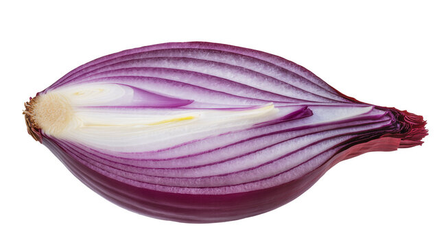 Sliced purple onion showing layered structure and root end
