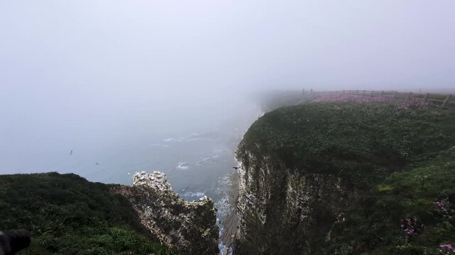 Moody footage of Bempton Cliffs, UK, in overcast mist, with gannets, guillemots, razorbills, and gulls flying along dramatic coastal cliffs