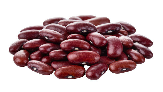 Pile of Kidney Beans with Light Beige Hilum