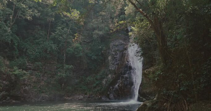 Waterfall cascades down dark rocks into a calm pool surrounded by dense green tropical forest. Natural sunlight filters through trees in a serene wilderness setting.