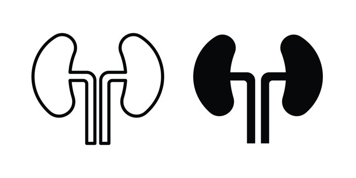 Kidney icon set. Black vector symbols