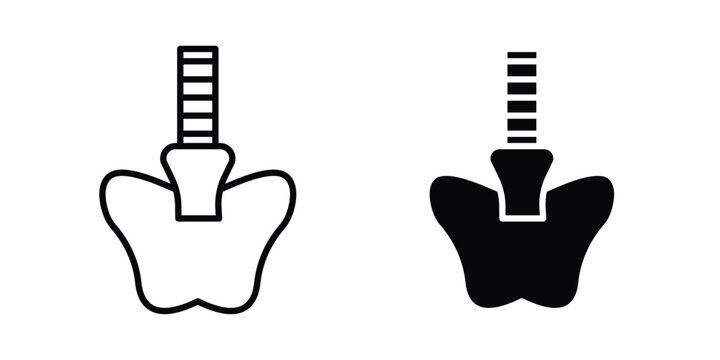 Pelvic area icon set. Black vector symbols