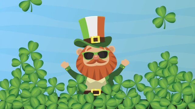 St Patricks day celebration video with leprechaun wearing sunglasses and clover leaves motion background.