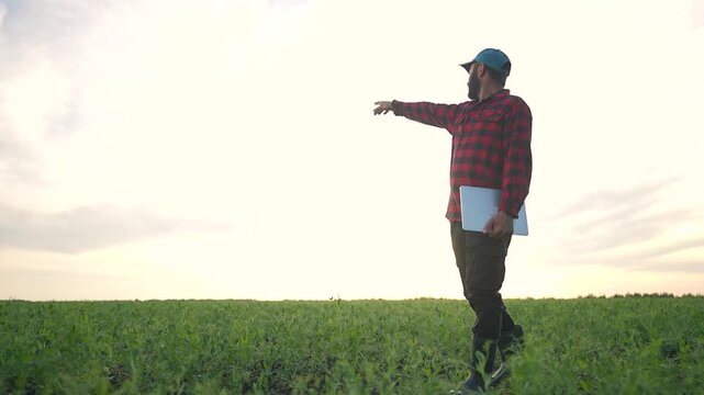 Farmer points forward on field holding laptop. Man stands on green grass checks crop. Agriculture grows with technology. Farmer watches field carefully. Standing man controls grass crop growth.