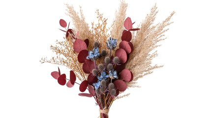 Dried floral arrangement with pampas grass eucalyptus and thistles, isolated on transparent background © Emilija