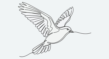 Obraz premium Hummingbird in Flight with Spread Wings.