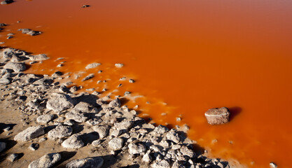 Rote Lagune in den Anden (Laguna Colorada, Bolivien) © chris74