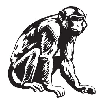 Capuchin monkey silhouette monkey icon Vector illustration Art