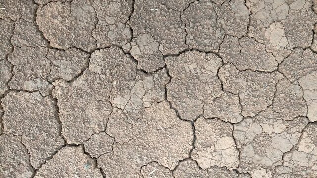 Parched, light-brown earth cracked into irregular polygonal patterns, showing a dry, drought-affected ground surface.