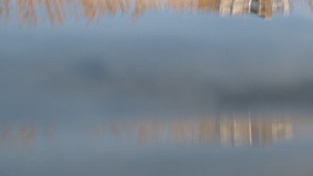 Abstract horizontal reflections of reeds and buildings rippling on puddle water, silent background footage