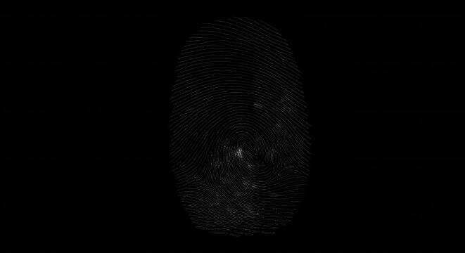 A detailed white fingerprint silhouette with intricate ridge patterns isolated on a solid black background, representing biometric security