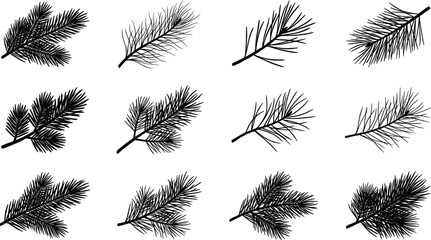 Set of black pine branch silhouettes isolated on white background for Christmas winter holiday design and evergreen forest decoration. © MDARIFUL
