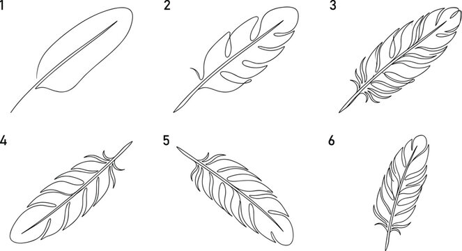 Elegant step-by-step feather drawing tutorial showing progressive sketch development from simple outline to detailed realistic illustration