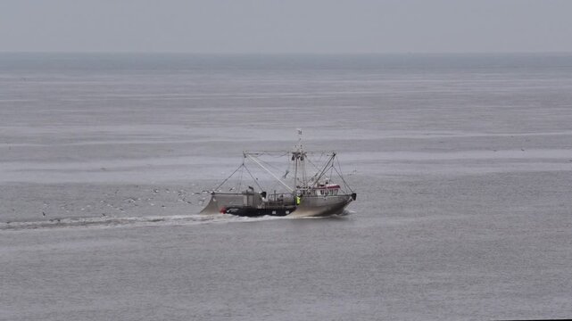 Krabbenkutter auf der Nordsee beim Fischfang mit Fangnetz und M&ouml;wen, Fischerboot, Niederlande