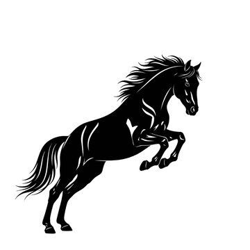 Silhouette of a black horse rearing up on its hind legs with its mane flowing.