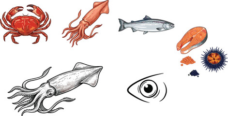 Seafood illustration set with crab squid fish salmon caviar and sea urchin for restaurant menu and food design © MehenajParvin