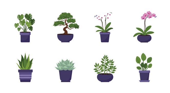 Collection of various indoor houseplants and miniature bonsai trees in stylized purple ceramic pots for home and office interior design.