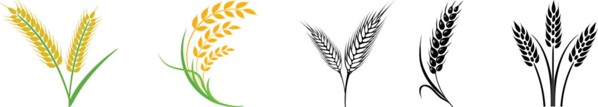 wheat vector icon set. bio agricultary, nature summer harvest art, hatching wheat Ear Grain Harvest Plant, abstract monogram logo template ,framework icon, and bicolor grunge Gluten watermark design