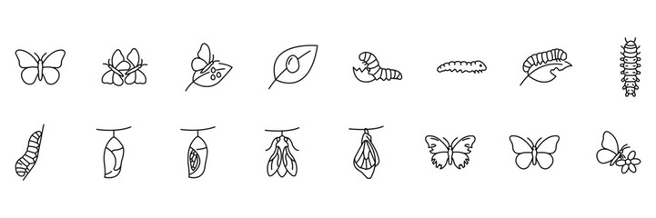 Butterfly life cycle icon set showing egg on leaf, hatching larva, caterpillar stages, chrysalis pupa and adult butterfly vector illustration. © suman