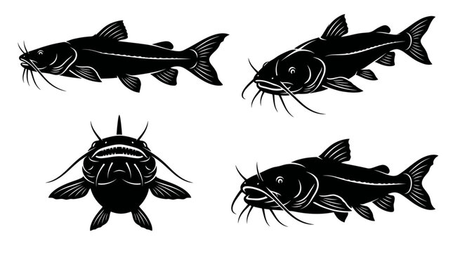 Black and white vector silhouette set of Goonch Catfish